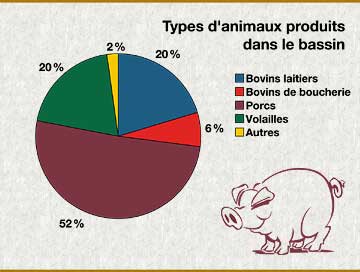 Graphique: Types d'animaux