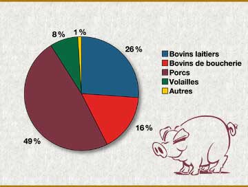 Graphique : Types d'animaux produits