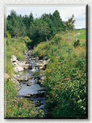Aménagement écologique - Ruisseau Turmel