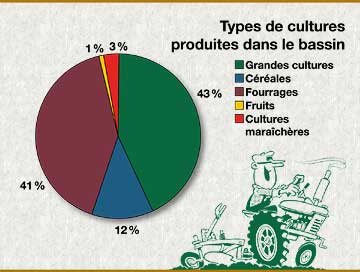 Graphique: Types de cultures