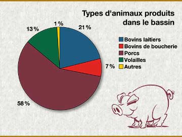 Graphique: Types d'animaux