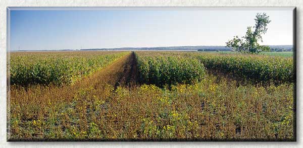 Photo de nouvelles pratiques agricoles